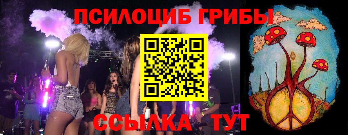 Псилоцибиновые грибы Magic Shrooms  хочу   Галлюциногенные грибы Psilocybine cubensis  Самара  Вход с VPN 